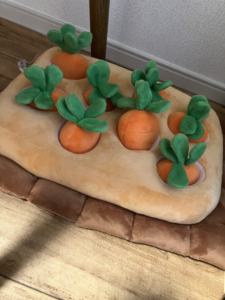 にんじん畑のノーズワークおもちゃ