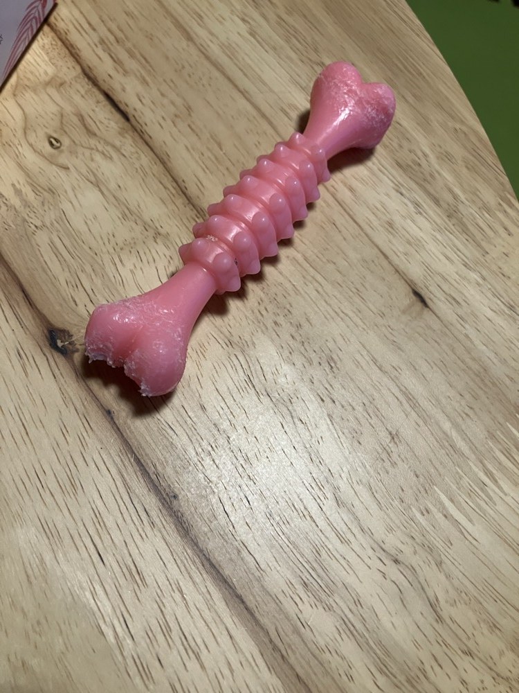 ゴム製の骨型おもちゃ